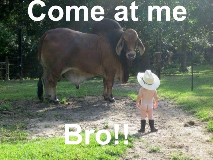 Come+at+me+bro.+TAGS_718e67_3423260.jpg