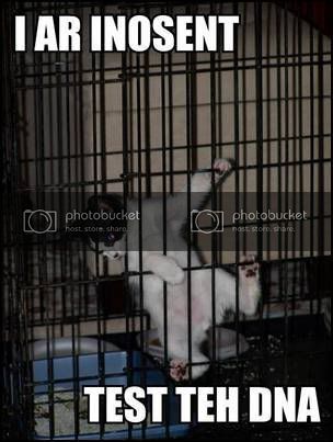 testdnalolcat.jpg