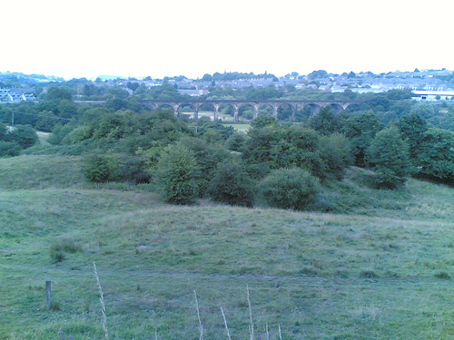 199047795_e7fa480c47.jpg