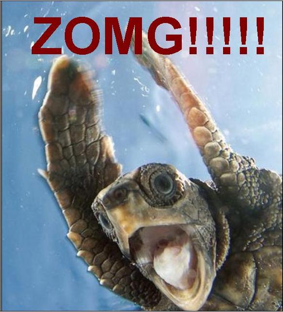 zomgb.jpg