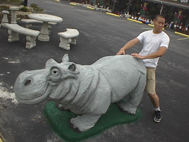 46hippo.jpg