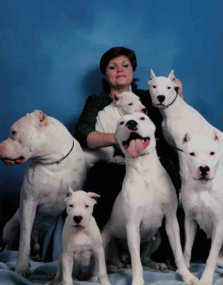 dogfam.jpg
