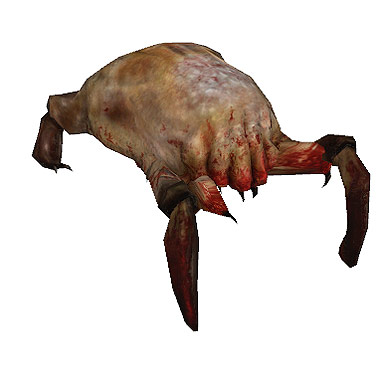headcrab.jpg