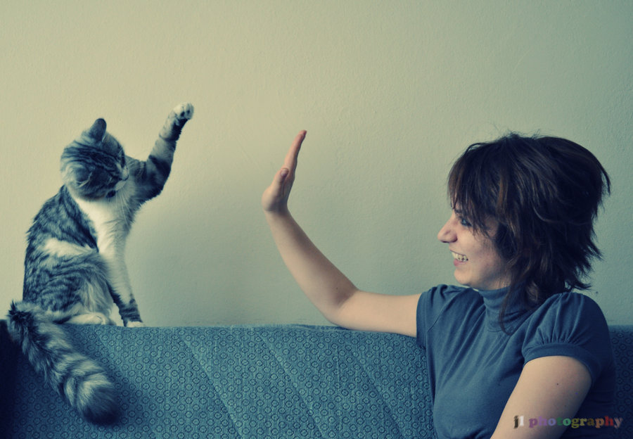high_five_by_judenlucy-d3ckrvw.jpg
