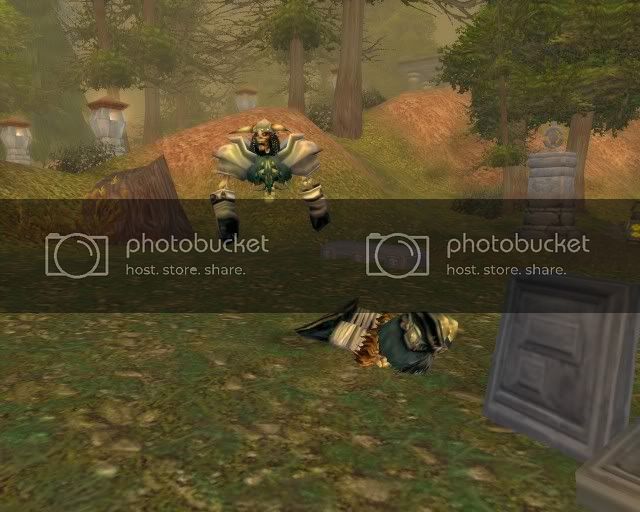 wow3.jpg