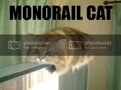 catmonorail.jpg