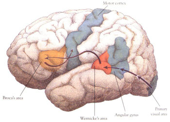 mental-health-0344.jpg