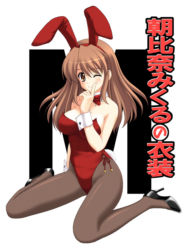 mikuru01a.jpg