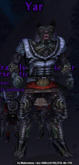 m-yar.jpg