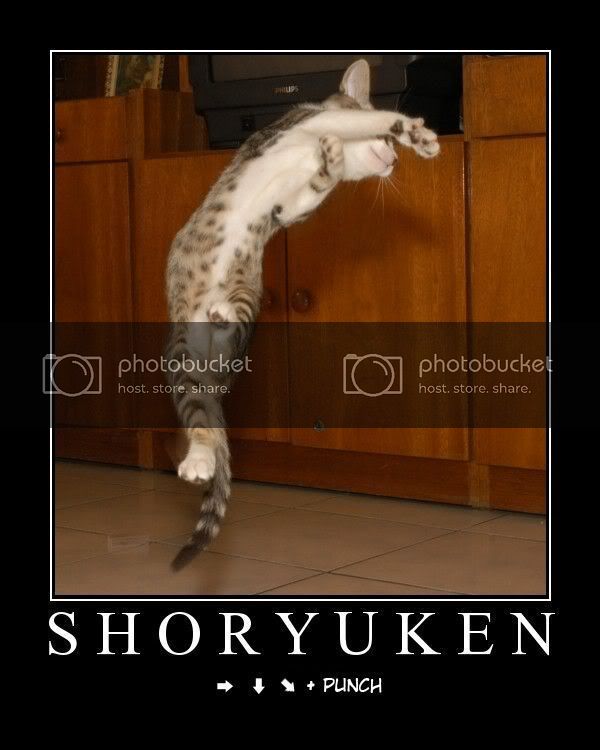 1168702253shoryukenou0bht4.jpg