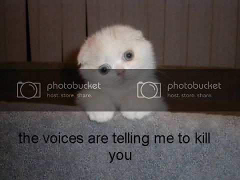 voices.jpg