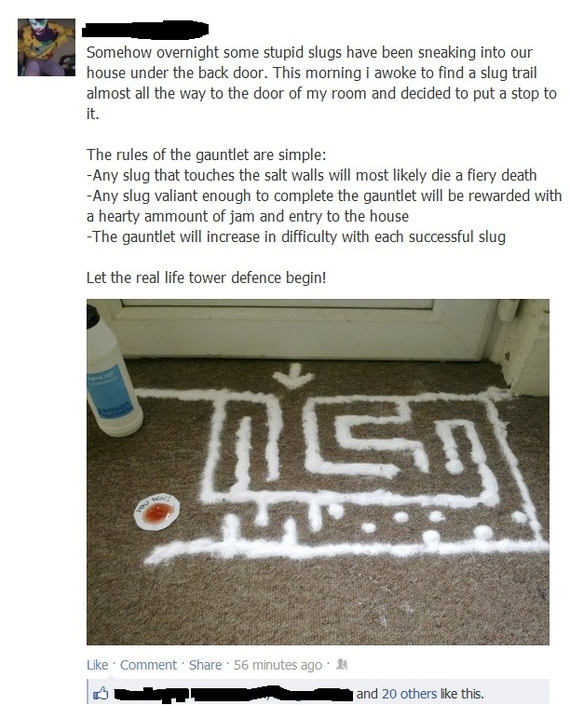 snail_salt_maze.jpg