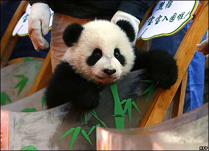 _42557755_fuwa_afp416.jpg