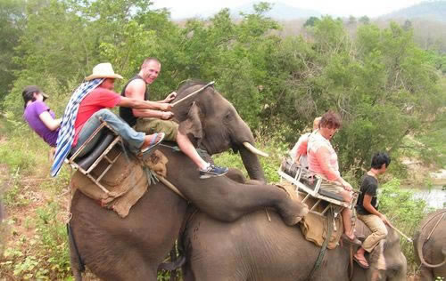 bad-time-elephant-ride.jpg