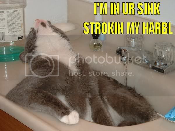 harbl.jpg