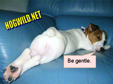 dog-ass.jpg