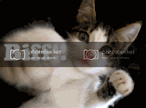 179054452c58c824ea.gif