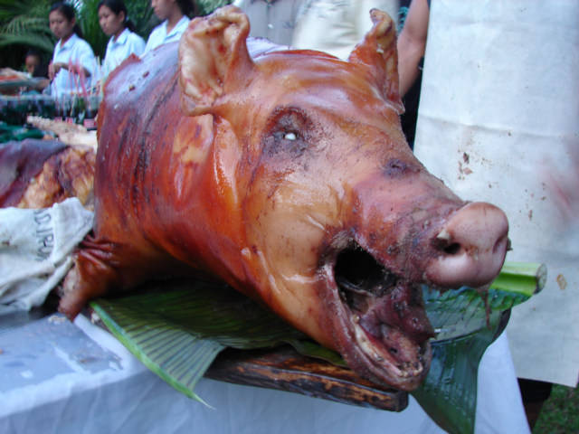 206-09-pig-roast-tupi-philippines.jpg