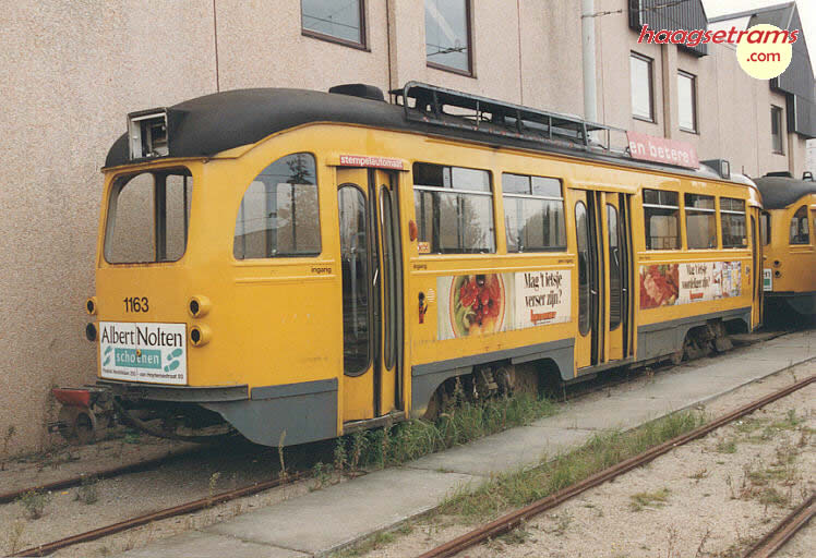 1163.jpg