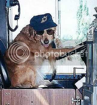 school-driver.jpg