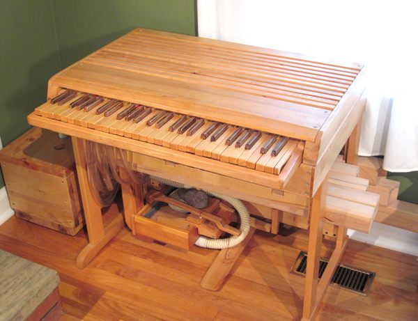 organ_today.jpg