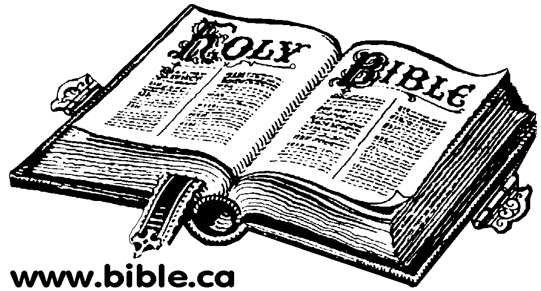bible.gif