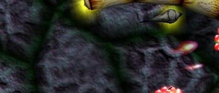 what8qp.jpg