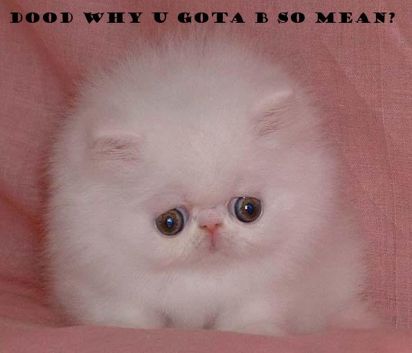 dood-why-u-gota-be-so-mean1.jpg