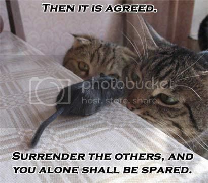 agreed_410.jpg