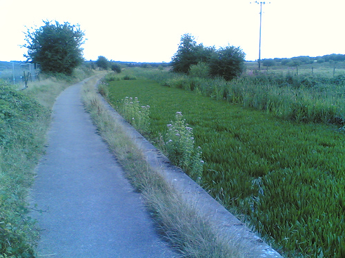 200504166_539277cdbf.jpg
