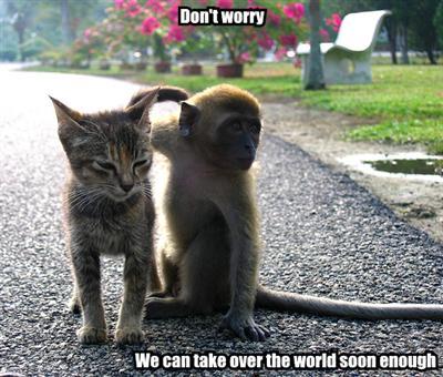 dont-worry-we-can-take-over-the-wor.jpg