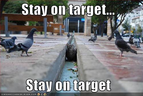 funny-pictures-cat-pidgeons-star-wars.jpg
