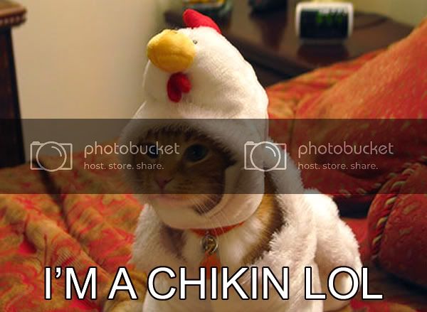 im-a-chikin-lol.jpg