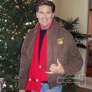 DavidHasselhoff_2.jpg