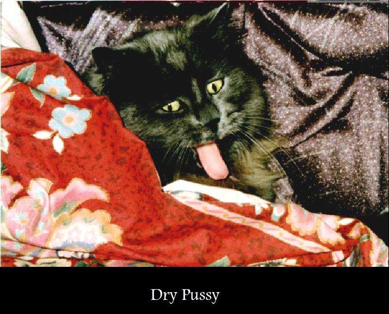 drycv5.jpg