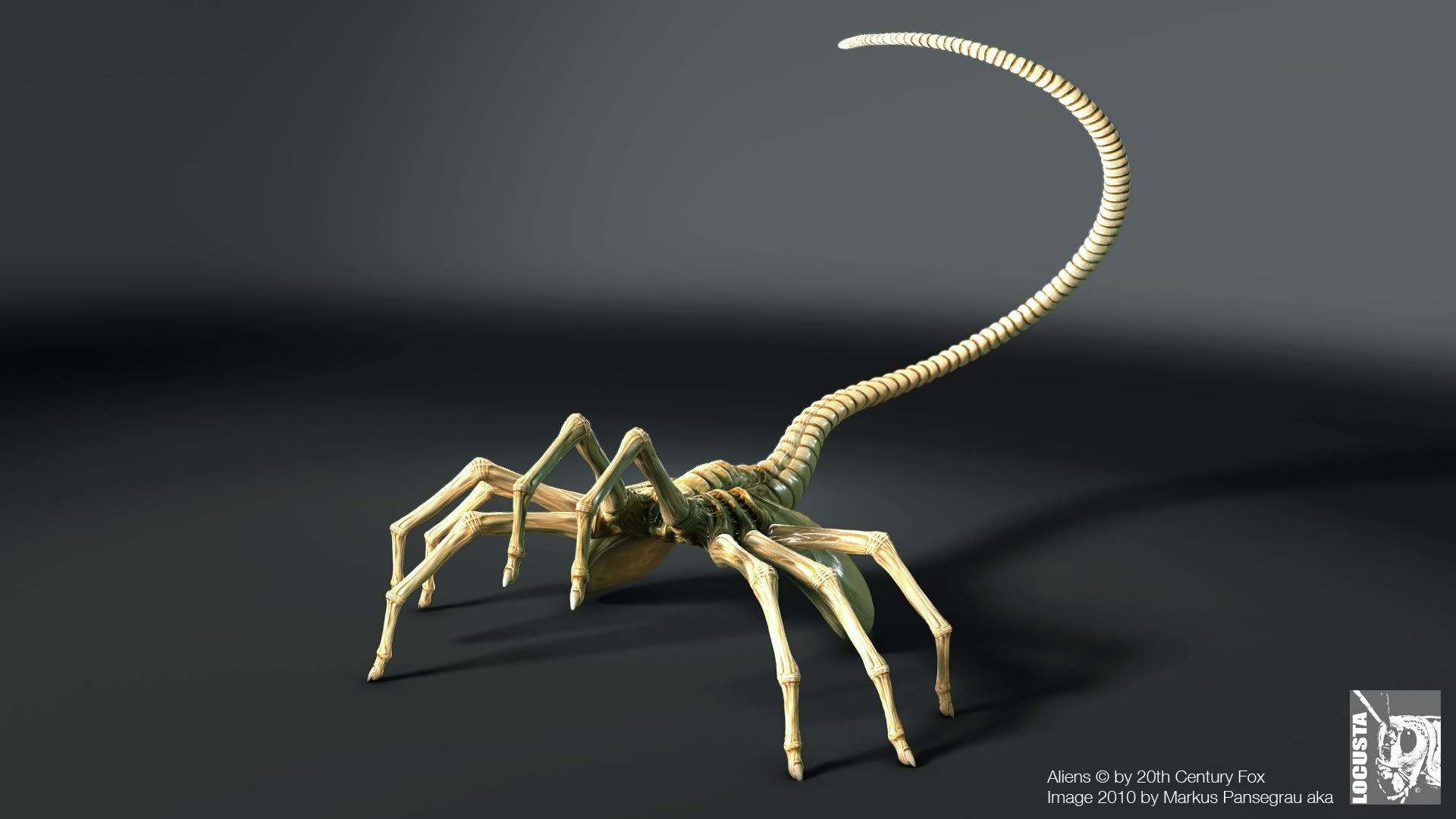 3d-alien-face-hugger.jpg