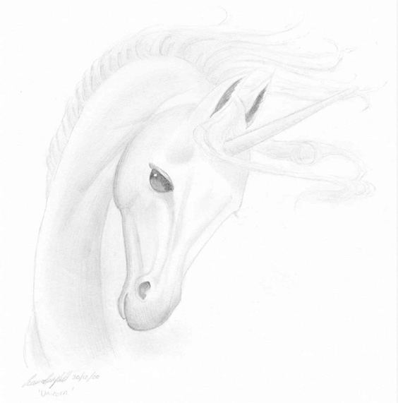 unicorn.jpg