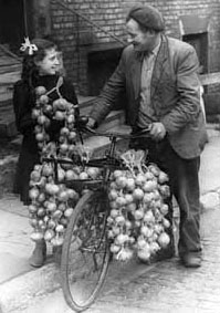 onions.jpg