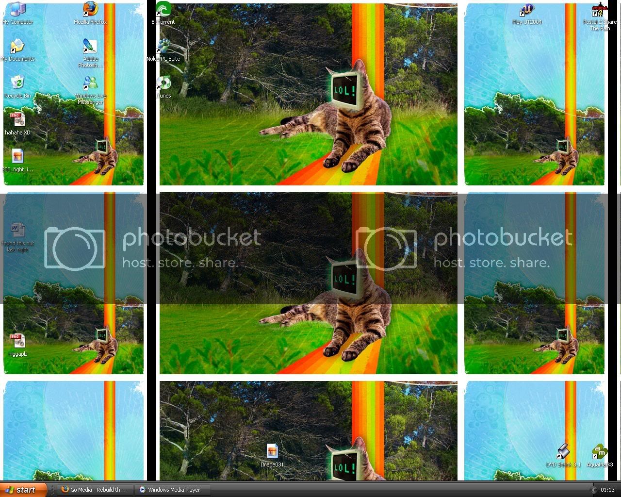 lolcat2.jpg