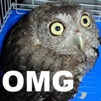 omg.jpg