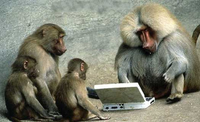 Computer+Monkeys+-+ChrisL+AK+(flickr).jpg