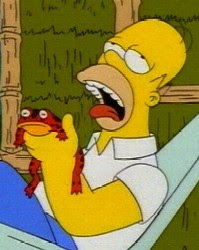 Homer%2Blick%2Bcain%2Btoad.jpg