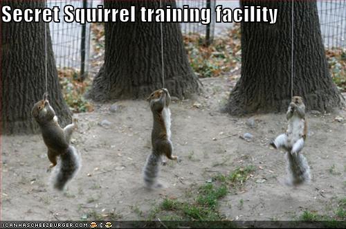 secret-squirrels.jpg