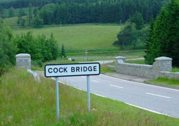 cock-bridge.jpg