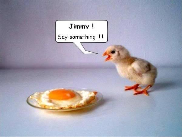 Chick_Egg.jpg