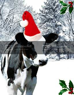 christmas-cow.jpg