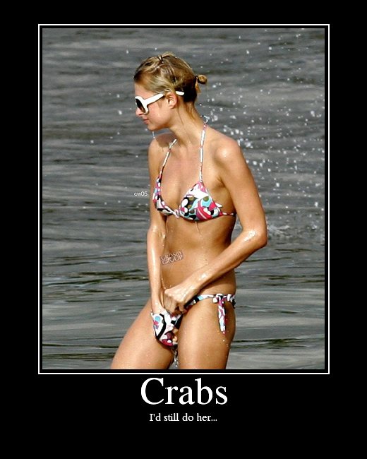 Crabs.png