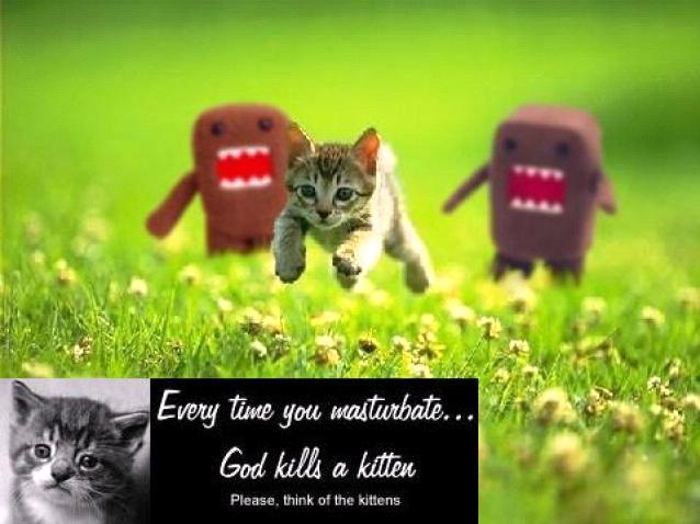 everytimeyoumasturbategodkillsakittenpleasethinkofthekittens.jpg