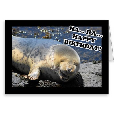 seal_laughing_ha_ha_happy_birthday_greeting_cards-p137142502322020497b21fb_400.jpg