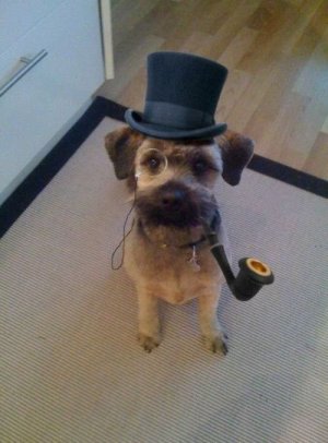 top-hat-dog-pipe-monocle-1275589124e.jpg